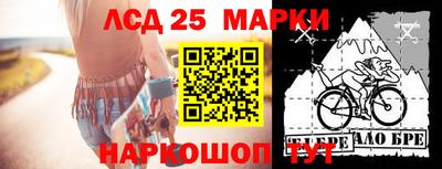 индика Заводоуковск