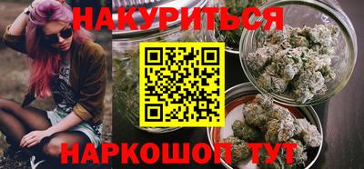 индика Заводоуковск