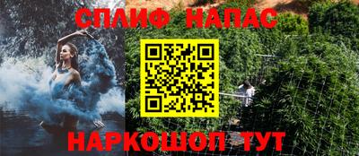 индика Заводоуковск